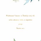 Novoročenka - 42vp 2 vianocne pozdravy 42vp v