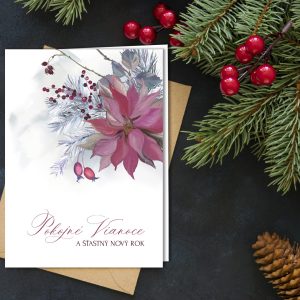 Novoročenka - 219vp