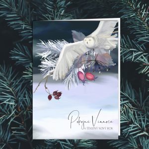 Novoročenka -  223vp