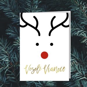 Novoročenka - 241vp