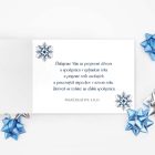 Novoročenka ľadový medveď 3 vianocny pozdrav 100vp v