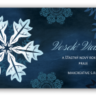 Novoročenka - 101vp 2 vianocny pozdrav 101vp p