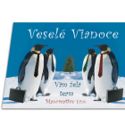 Novoročenka - 108vp 3 vianocny pozdrav 108vp