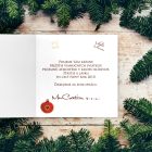 Novoročenka - 113vp 5 vianocny pozdrav 113vp v