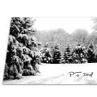 Novoročenka - 129vp 3 vianocny pozdrav 129vp