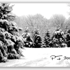 Novoročenka - 129vp 2 vianocny pozdrav 129vp p