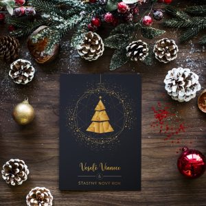 Novoročenka -  264vp