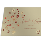 Novoročenka - 2vp 4 vianocny pozdrav 2vp