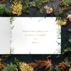 Novoročenka - 42vp 3 vianocny pozdrav 42vp v 1