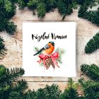 Novoročenka Vtáčik 1 Novoročenka Vtáčik