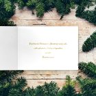 Novoročenka - 51vp 3 vianocny pozdrav 51vp v 1