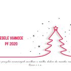 Novoročenka - 89vp 3 vianocny pozdrav 89vp