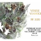 Novoročenka - 90vp 2 vianocny pozdrav 90vp