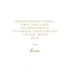 Novoročenka - 248vp 4 vianocny pozdrav vp253 v