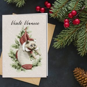 Novoročenka -  254vp